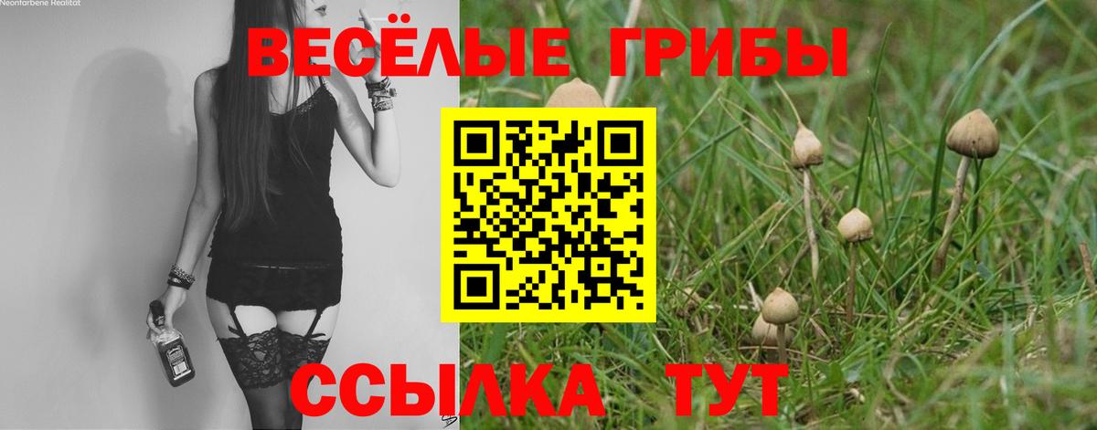 Гуково  Псилоцибиновые грибы Magic Shrooms  Псилоцибиновые грибы MAGIC MUSHROOMS  Вход с VPN 