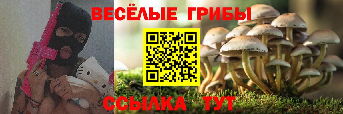 ГАШ  КОКАИН  ГАШ  Мефедрон кристаллы  МАРИХУАНА  Гуково  Метамфетамин  Вход с VPN  COCAIN  Меф МЯУ МЯУ  LSD-25 
